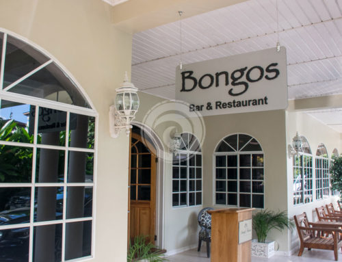 Bongos Image 1