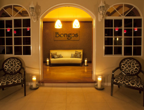Bongos Image 7